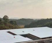 江西泰和龍興畜牧養殖基地玻纖鎂質凝膠防火防腐瓦